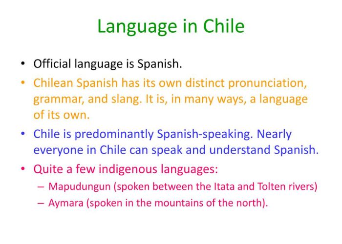 What Language Do They Speak in Chile?