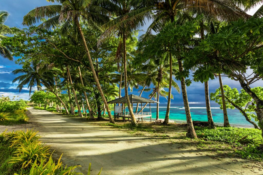Tropical beach on Samoa Island with palm trees and dirt road